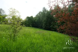 93a, dom letniskowy, las + zabudowa mieszkaniowa!! - zdjęcie 7